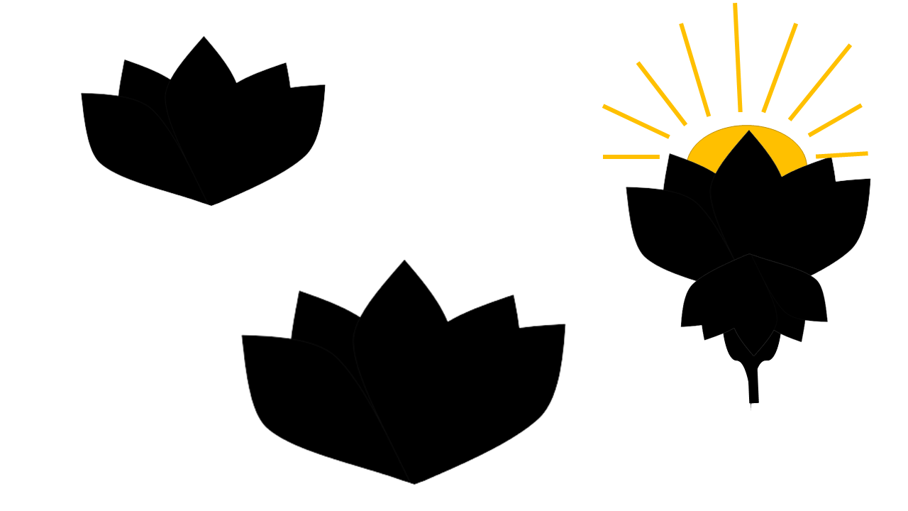 Early digital lotus concepts and expanded visual identity explorations